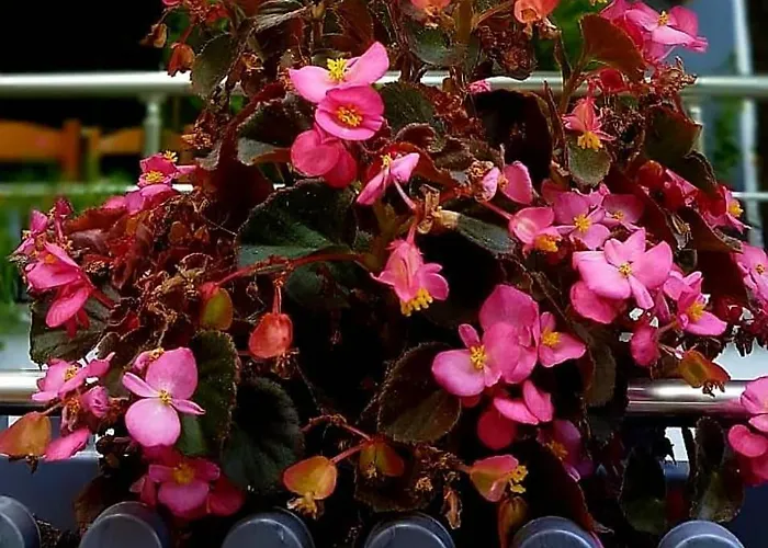 Hotel Te Sadiku Gramsh